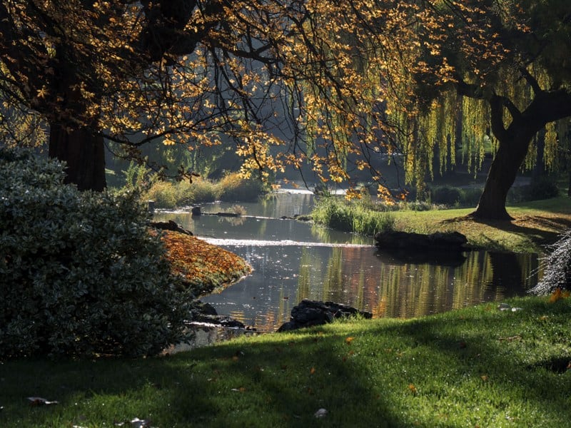 Le Parc De Barbieux